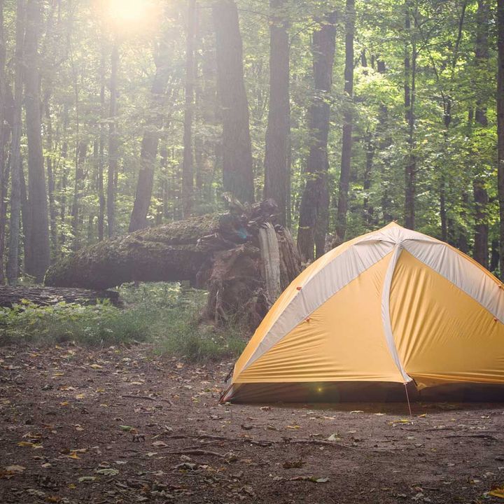 Tent